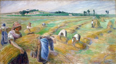 ""skörden"" Målning av Camille Pissarro (1830-1903) Dim 70,3x126 cm 1882 National Museum of Western Art, Tokyo av Camille Pissarro