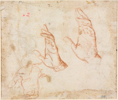 Study of Hands (verso) av Camillo Procaccini