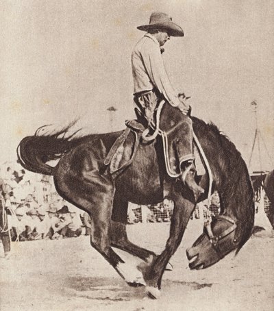 Cowboy rider på en bockande bronco (svartvitt foto) av Canadian Photographer