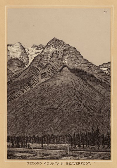 Kanada: Second Mountain, Beaverfoot (litografi) av Canadian School
