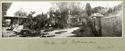 Getsemane trädgård, 14 december 1917 av Capt. Arthur Rhodes
