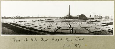 Utsikt över Nilen från N.Z.M.F.A. Högkvarter, Kairo, juni 1917 av Capt. Arthur Rhodes