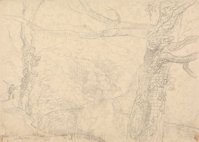 Holne Chase, 30 maj 1833 av Capt. Thomas Hastings