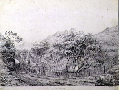Napoleons grav i Longwood på ön St. Helena av Captain G. Rotton