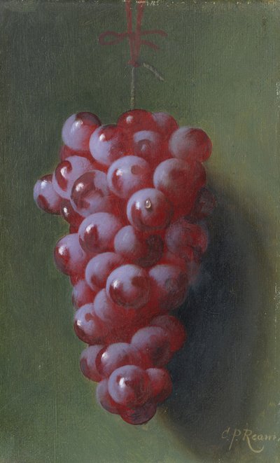 Stilleben med vindruvor. av Carducius Plantagenet Ream