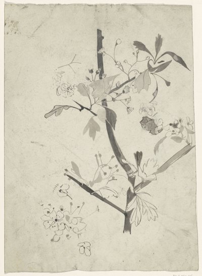 Gren med blomma av Carel Adolph Lion Cachet