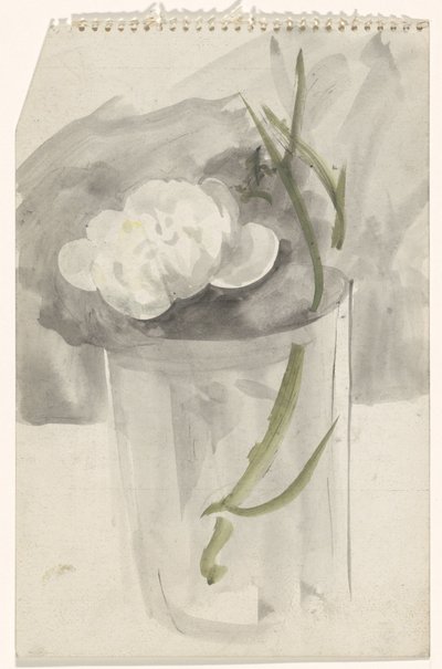 Vit blomma i ett glas av Carel Adolph Lion Cachet