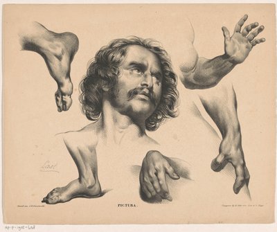 Huvudet på en man, fötter, händer och armar Pictura (serietitel på objekt) av Carel Christiaan Antony Last