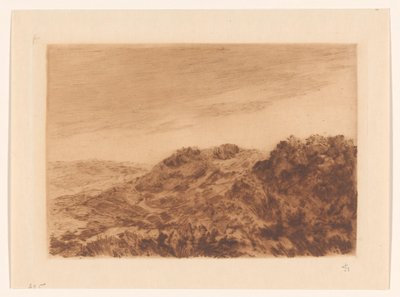 Dune landskap nära Haag av Carel Nicolaas Storm van 