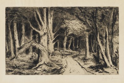 Skogsstigen, c.1885 av Carel Nicolaas Storm van s Gravesande