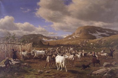 En renhjord körs till mjölkningsplatserna. Motivet från de höga bergen norr om Røros av Carl Bøgh