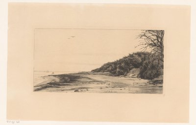 swedish av Carl Bloch