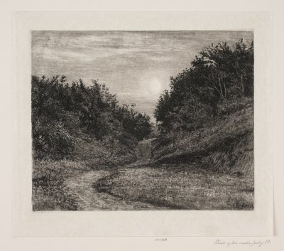 En månbelyst sommarkväll av Carl Bloch