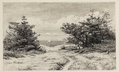 Utsikt mot havet av Carl Bloch