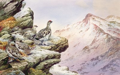 ripa på de höga topparna av Carl Donner