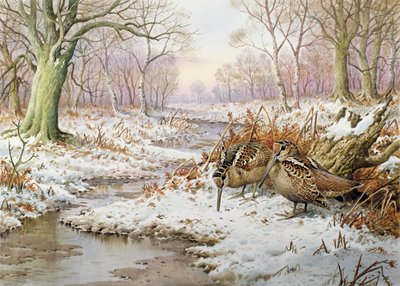 Morkulla av Carl Donner