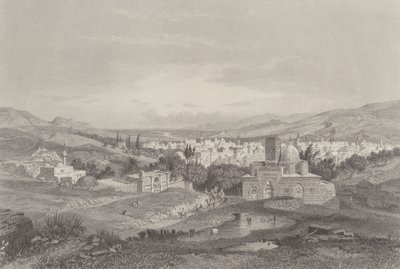 Damaskus floder av Carl Friedrich Heinrich Werner