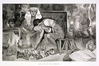 Kifo cha Mzaliwa wa Kwanza, karne ya 19 (kuchora kwenye karatasi). av Carl Friedrich Heinrich Werner