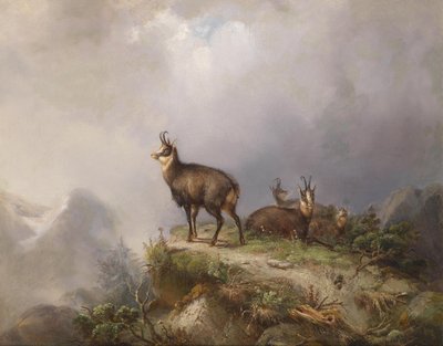 Carl Ockert Gämsen av Carl Friedrich Ockert