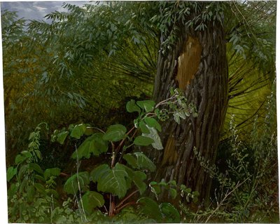 Pilstam med undervegetation av Carl Gustav Carus