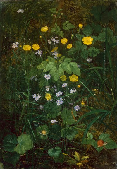 Smörblommor och Förgätmigej på ett skogsgolv av Carl Henrik Koch Moller