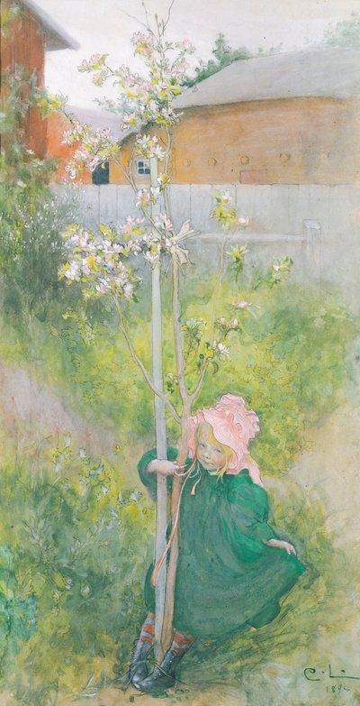 Appleblossom, 1894 av Carl Larsson