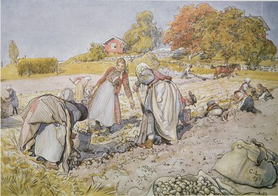 Gräva potatis av Carl Larsson