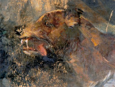 hundhuvud av Carl Rudolf Huber