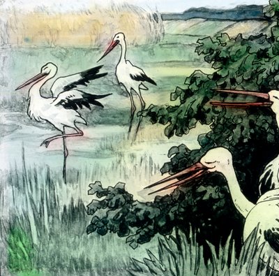 Wilhelm Hauff - Sagor - Kalifstorken. Bilddatum cirka 1910. Carl Simon-arkivet av Carl Simon