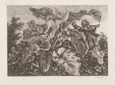 Plantstudie med kardborre av Carl Wilhelm Kolbe