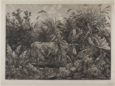 Ko i en bäck av Carl Wilhelm Kolbe the elder