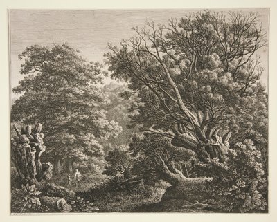 Landskap med knotiga träd av Carl Wilhelm Kolbe the elder