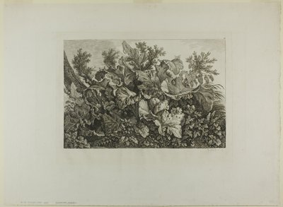 Träskväxter av Carl Wilhelm Kolbe, the elder