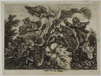 Grönsaksblad av Carl Wilhelm Kolbe, the elder