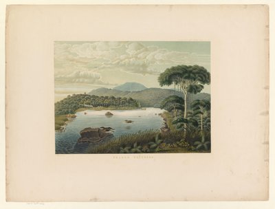 Utsikt över sjön Patenggang Telaga Patengan (titel på objekt) Atlas to work Java (serietitel på objekt) Atlas av plåtar innehållande elva pittoreska vyer, tillhörande verket Java, dess form, dess vegetation och inre konstruktion (seri av Carl Wilhelm Mieling (possibly)