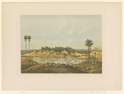 Utsikt över ett landskap nära Semarang Norra kusten vid Semarang (titel på objekt) av Carl Wilhelm Mieling (possibly)
