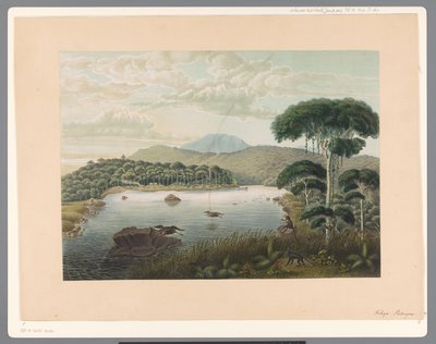 Utsikt över sjön Patenggang på Java av Carl Wilhelm Mieling (possibly)