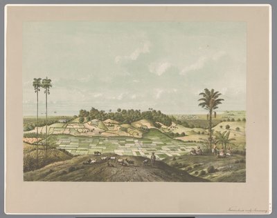 Norra kusten nära Semarang av Carl Wilhelm Mieling (possibly)