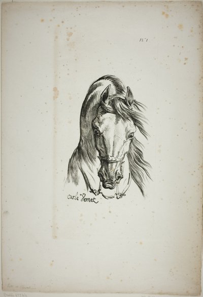Detalj av hästhuvud, förstorat till tredubbel storlek, Norman Royal Guard, nr 1 av Carle Vernet