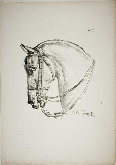 Detalj av hästhuvud, förstorat till tredubbel storlek, Norman Royal Guard, nr 2 av Carle Vernet