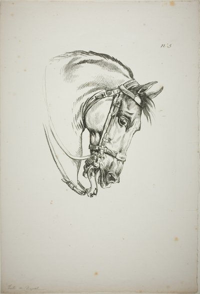 Detalj av hästhuvudet, förstorat till tredubbel storlek, Norman Royal Guard, nr 5, First Limoges Horse av Carle Vernet