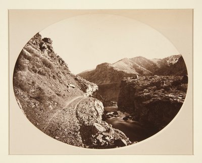 Jäkel av Carleton E. Watkins