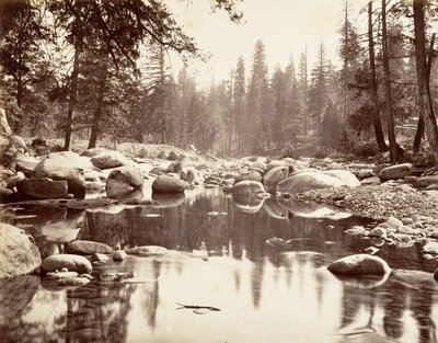 Merced River, ca. 1872, tryckt ca. 1876. av Carleton E. Watkins.