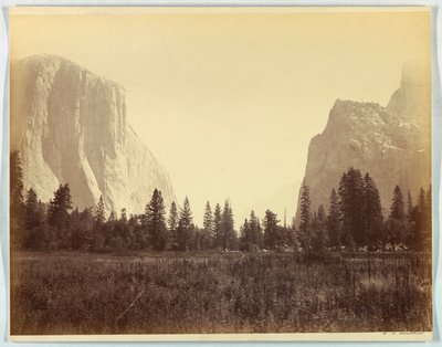 Uppför dalen från foten av Mariposa Trail, Yosemite, nr. 9 av Carleton E. Watkins
