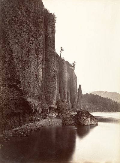 swedish av Carleton Emmons Watkins