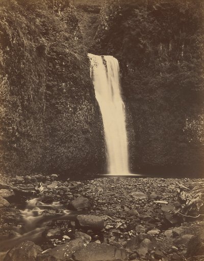Lower Multnomah Falls, Columbia River,1867 (foto) av Carleton Emmons Watkins