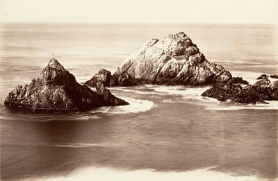 Seal Rocks, 1868-69, tryckt ca. 1876. av Carleton Emmons Watkins