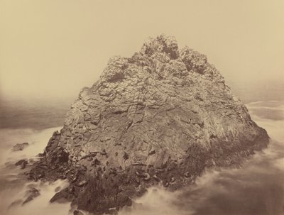 Sugar Loaf Island, Farallonerna,1868/1869 (foto) av Carleton Emmons Watkins