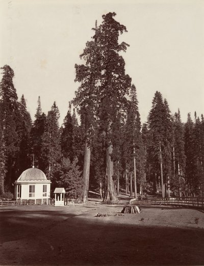 The Sentinel, 315 fot, 1865-66, tryckt ca. 1876. av Carleton Emmons Watkins