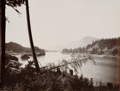 Utsikt över Columbia, Cascades, 1867. av Carleton Emmons Watkins